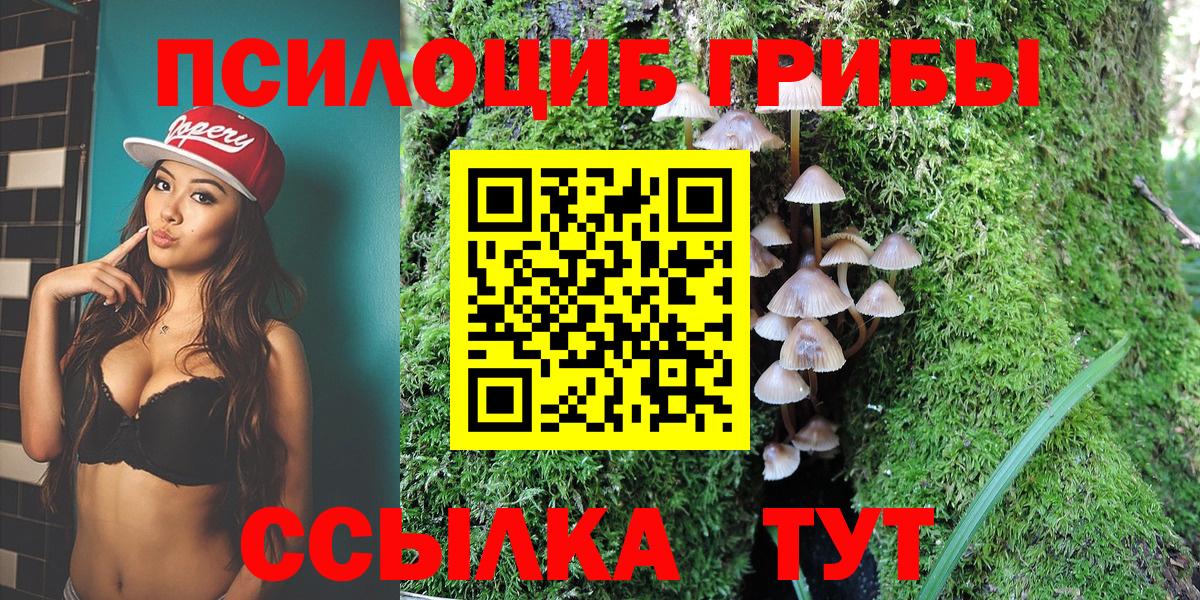 Котовск  Галлюциногенные грибы MAGIC MUSHROOMS  Вход с VPN 